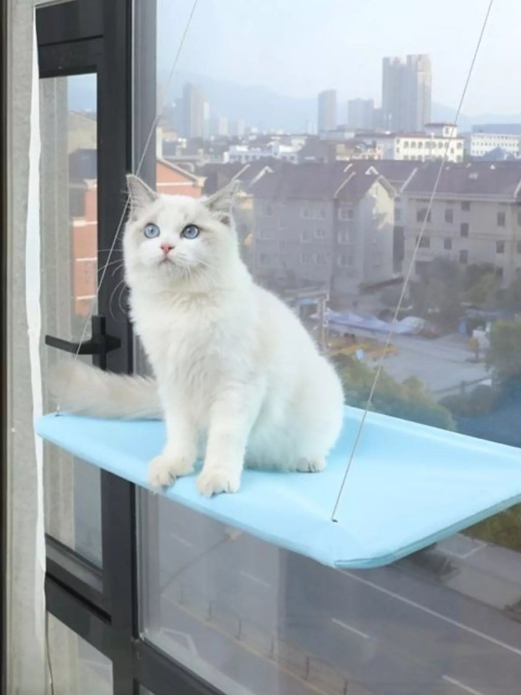 Window Perch Cat Hammock with Suction Cups