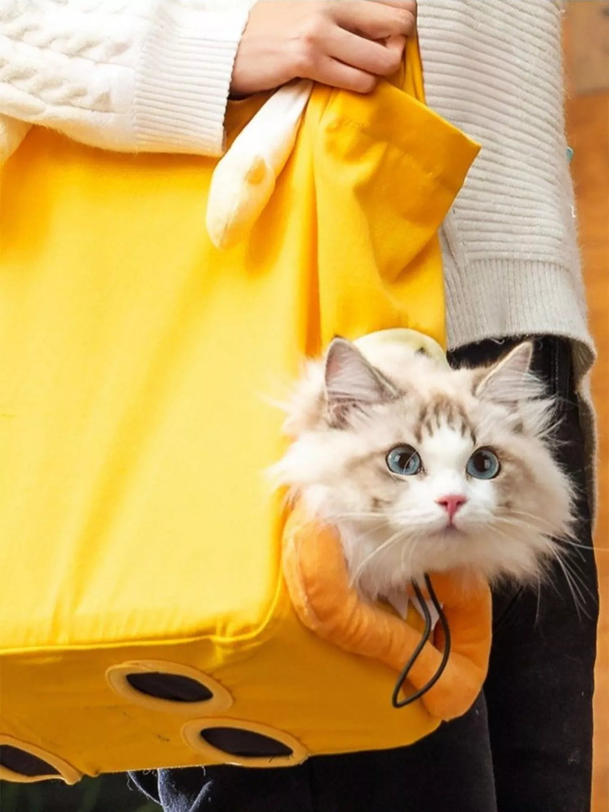 Portable Breathable Pet Bag