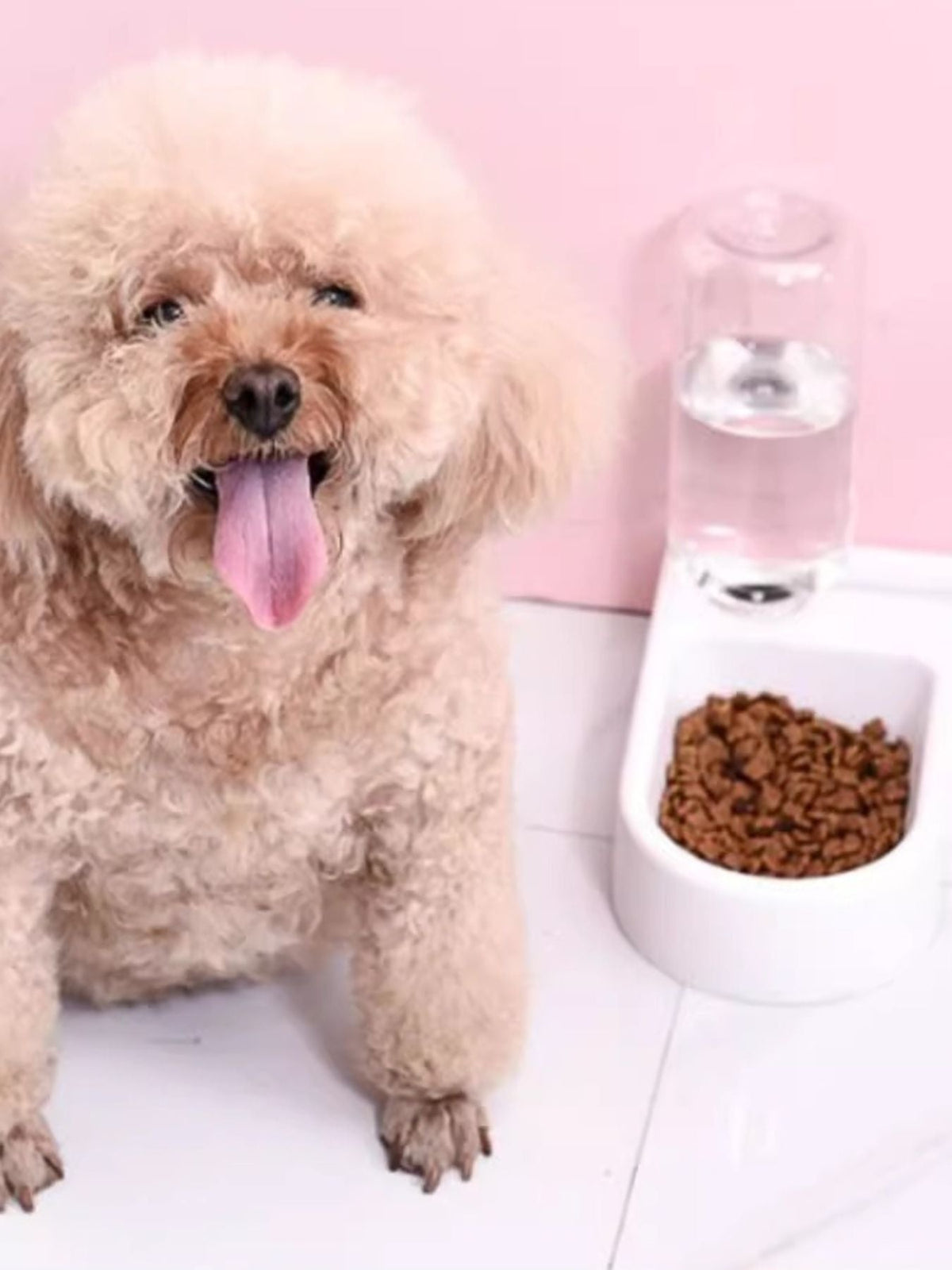 Automatic Water Refilling Pet Bowls