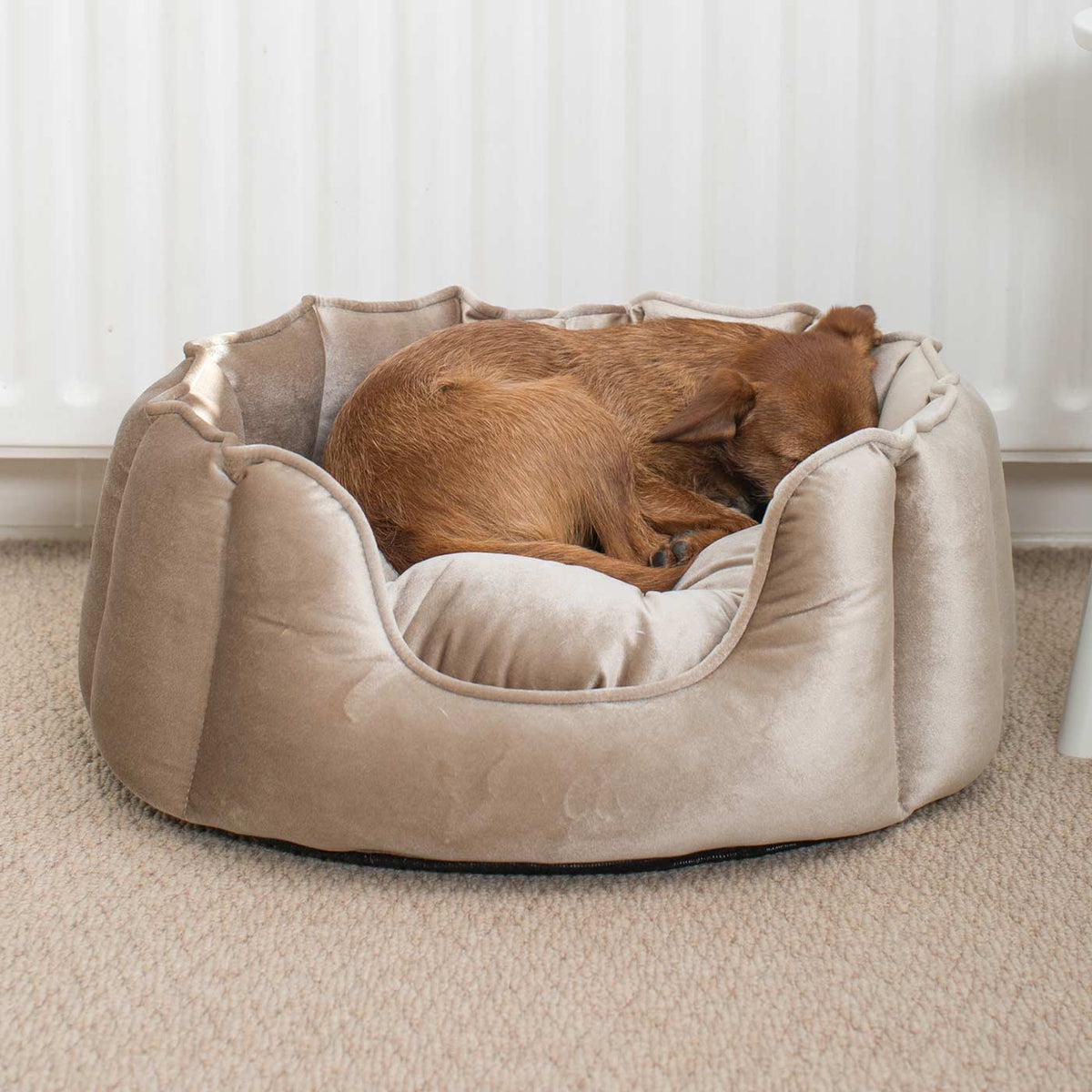 High Wall Bed For Dogs in Velvet