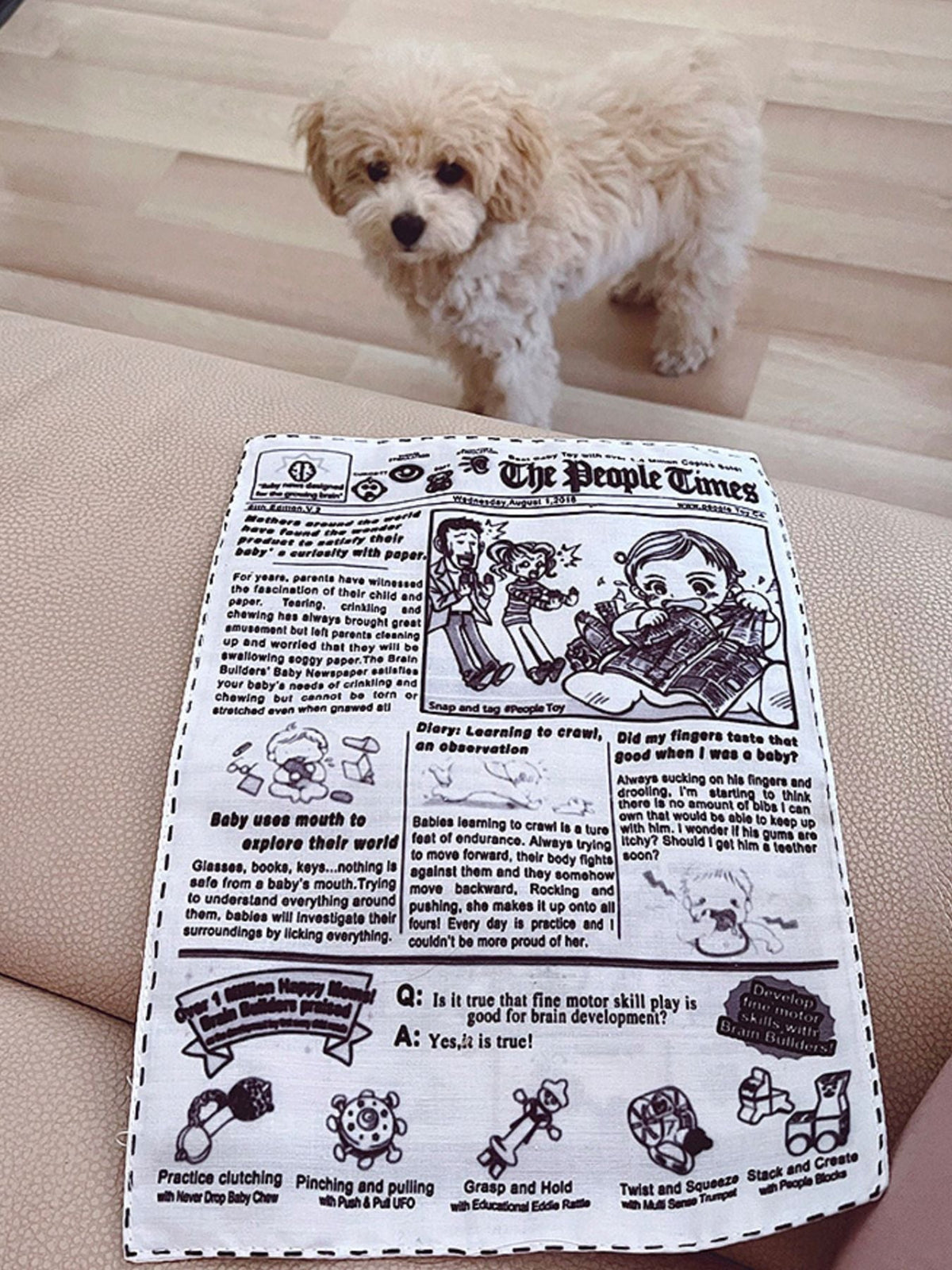 Newspaper Style Pet Sound Toy
