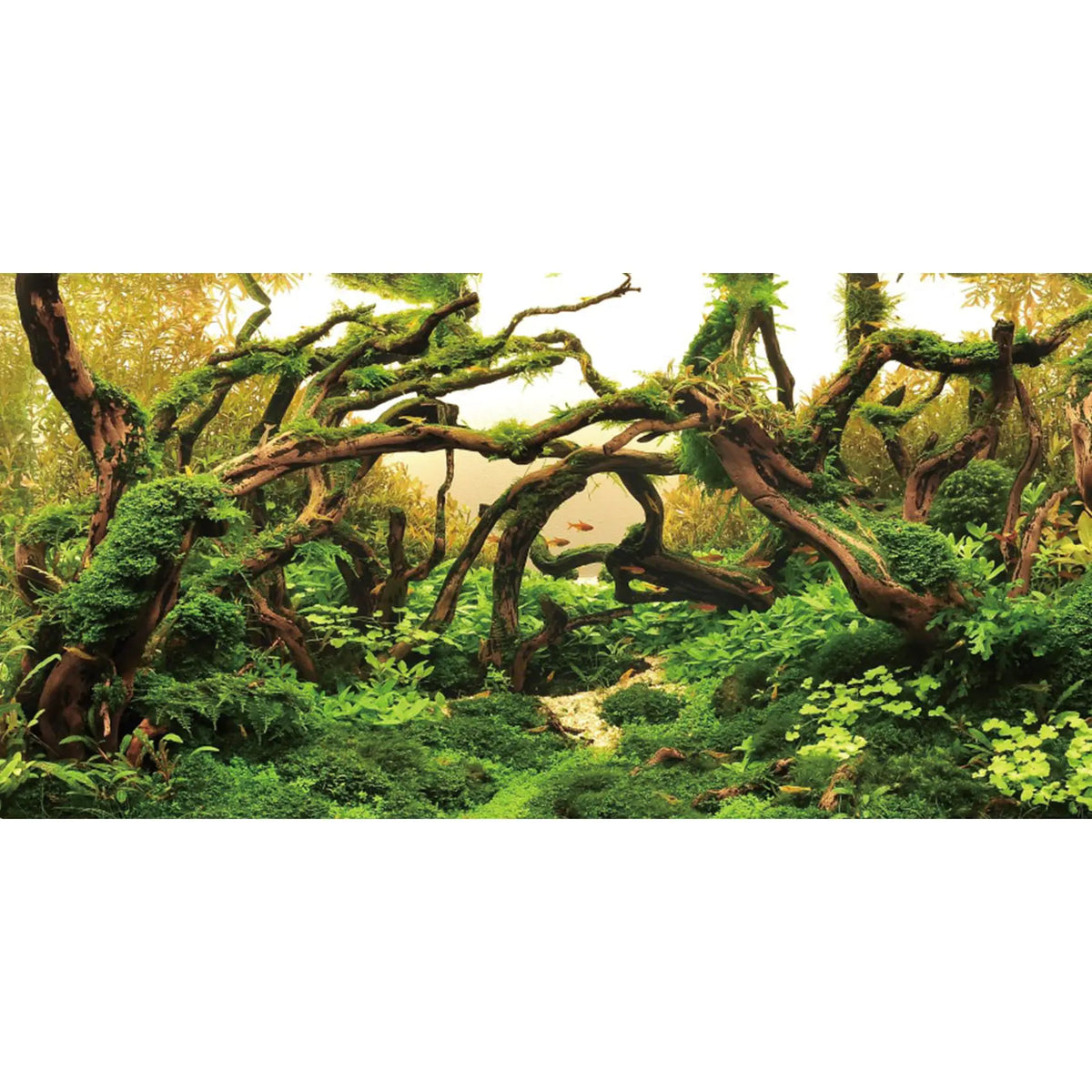 Riverbed Views 36x18 Aquarium Background