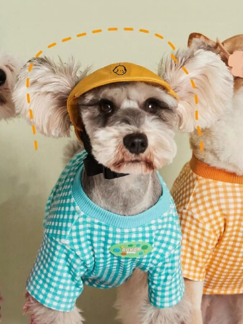 Embroidered Pet Baseball Cap