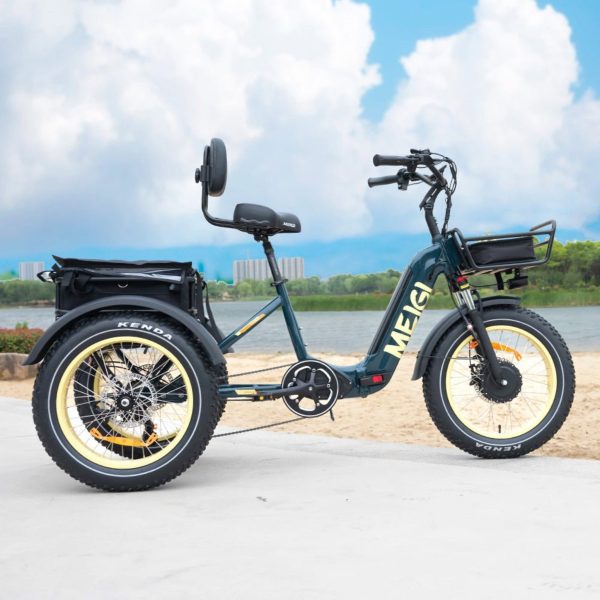20-Inch 48V 750W Foldable Fat-Tire Electric Trike, 330-Lb. Capacity
