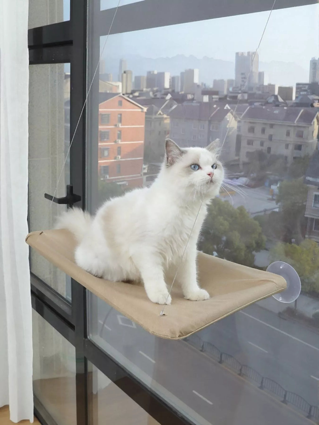 Window Perch Cat Hammock with Suction Cups