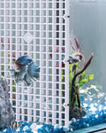 Aquatic Life 4-Pack Tank Separator Grids