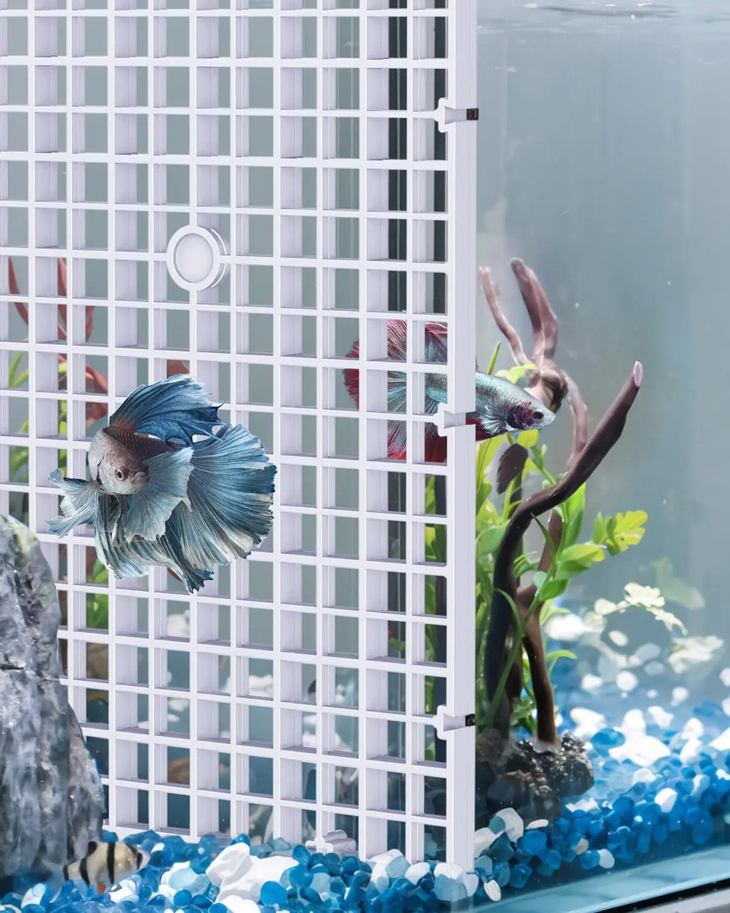 Aquatic Life 4-Pack Tank Separator Grids
