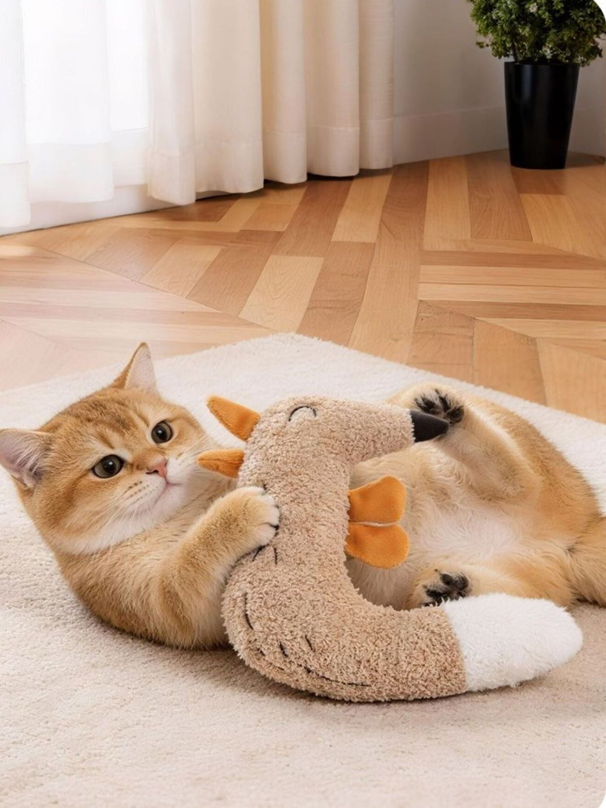 Duck & Fox Design Pet Plush Toys