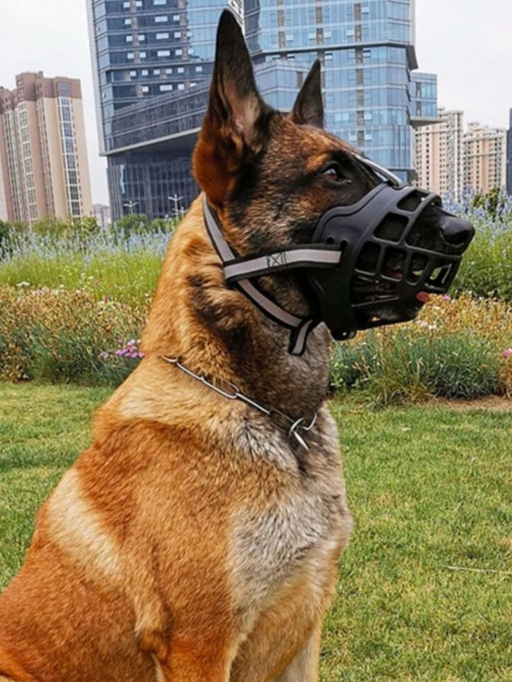 Anti-Bite Pet Muzzle