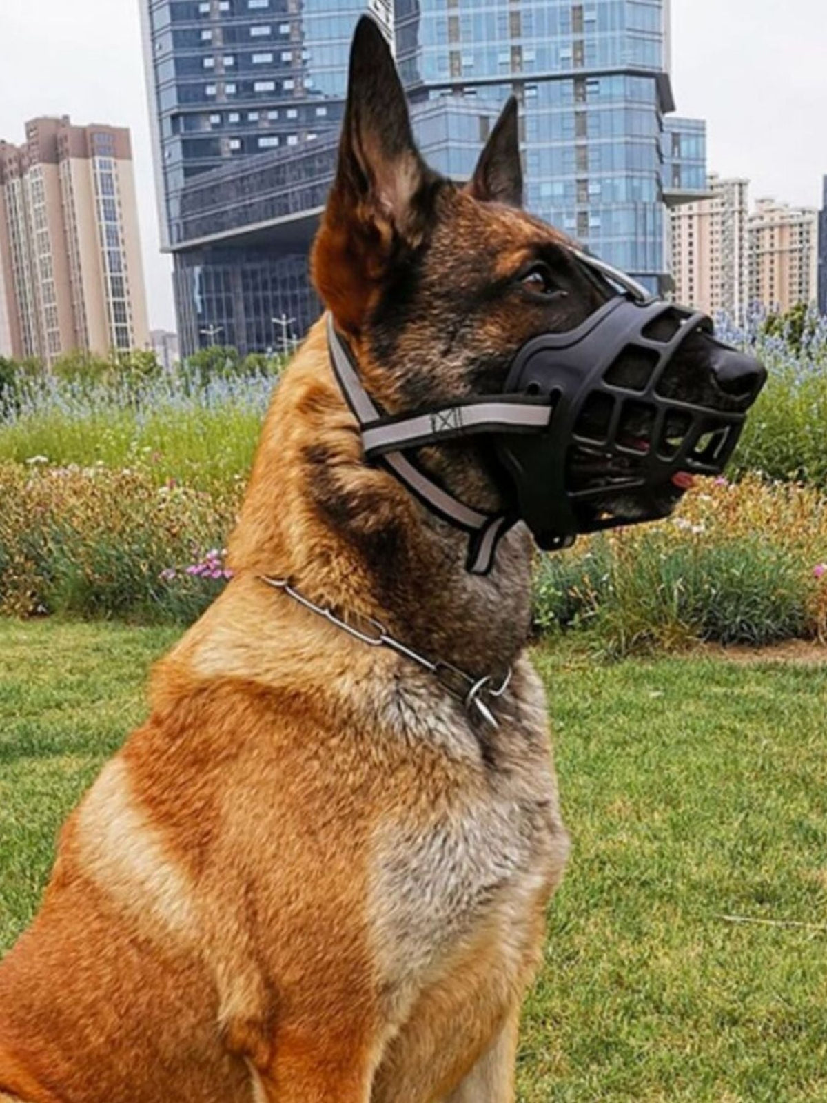 Anti-Bite Pet Muzzle