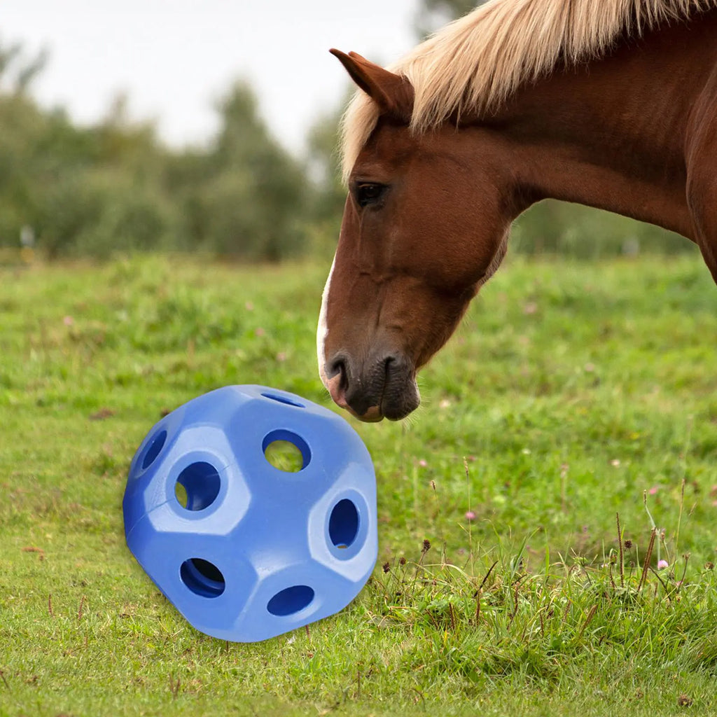 Horse Hay Feeding Bag Toy Ball