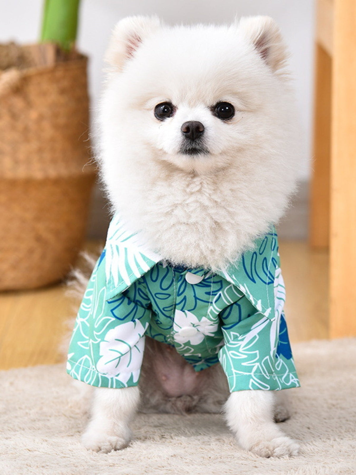 Lightweight Pet Top
