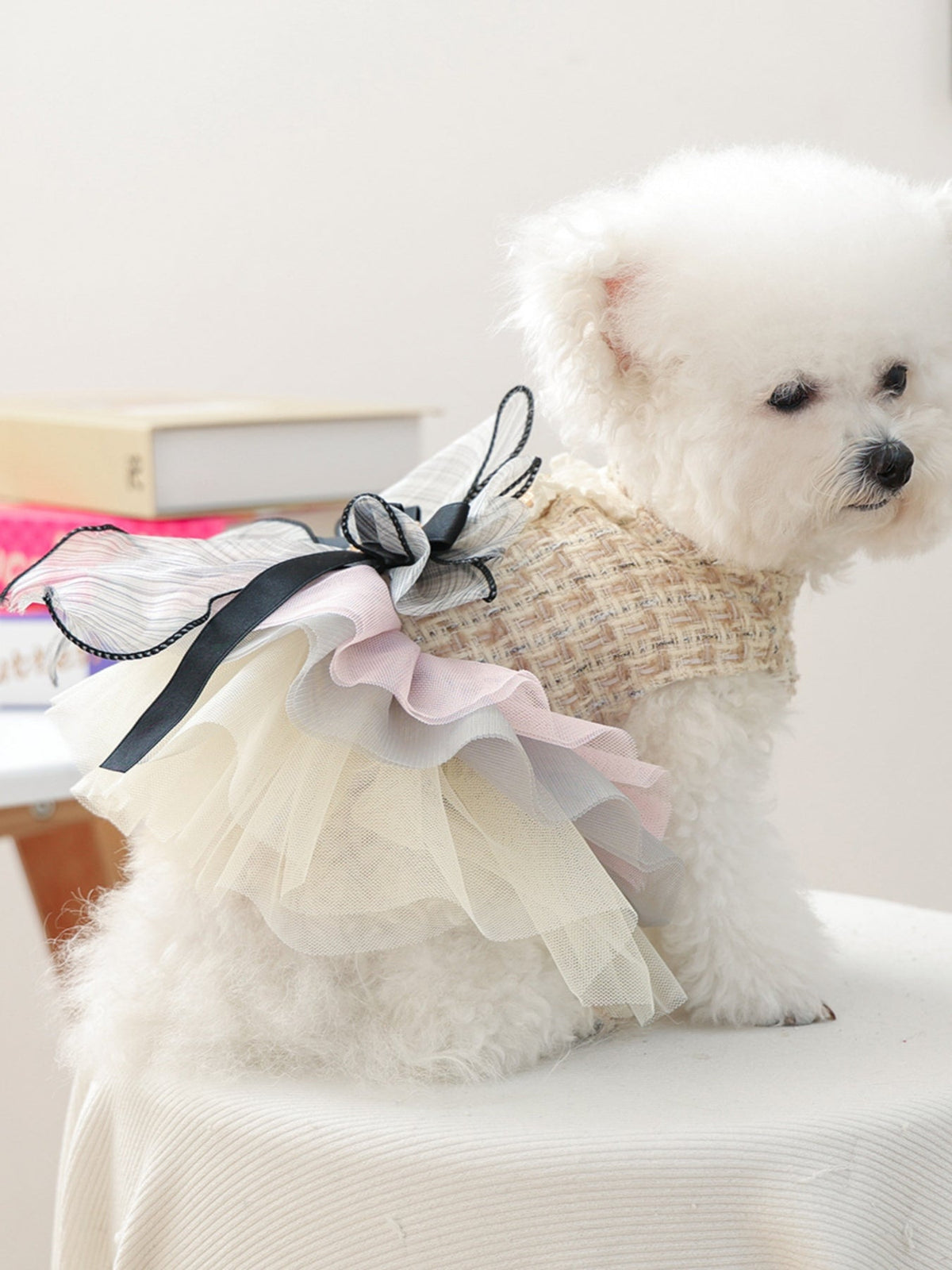 Tweed Pet Dress with Ruffle