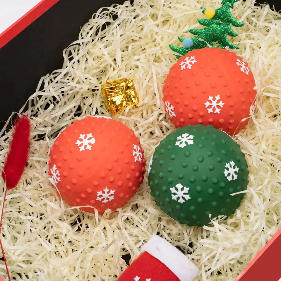 Festive Furry Fun Christmas Pet Ball