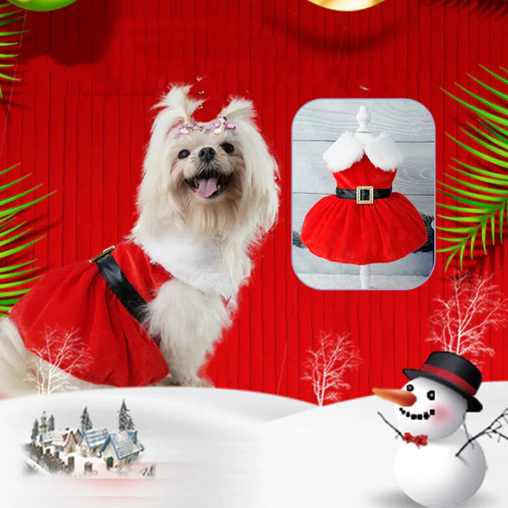 Holiday Pet Velvet Ensemble