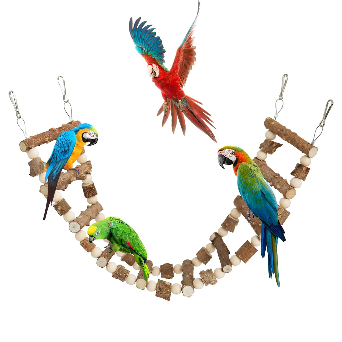 Eco-Friendly Pet Ladder Swing