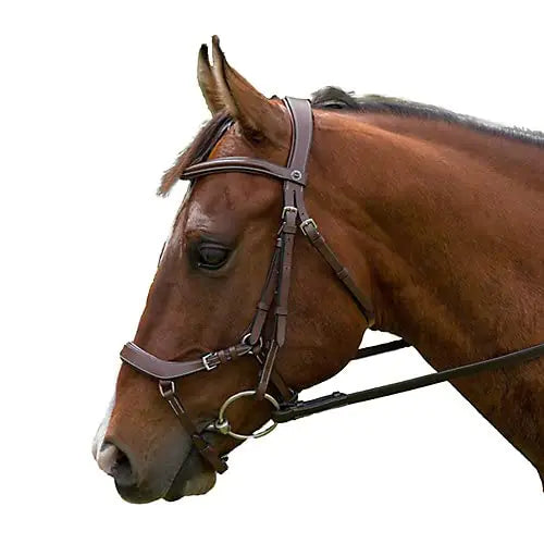 Henri de Rivel Pro Anatomical Bridle Horse Austral