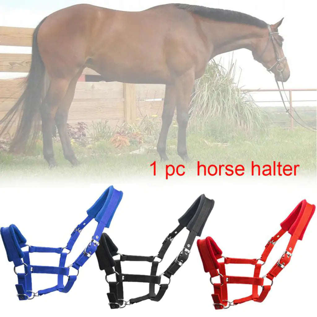 Deluxe Equine Headgear Protector