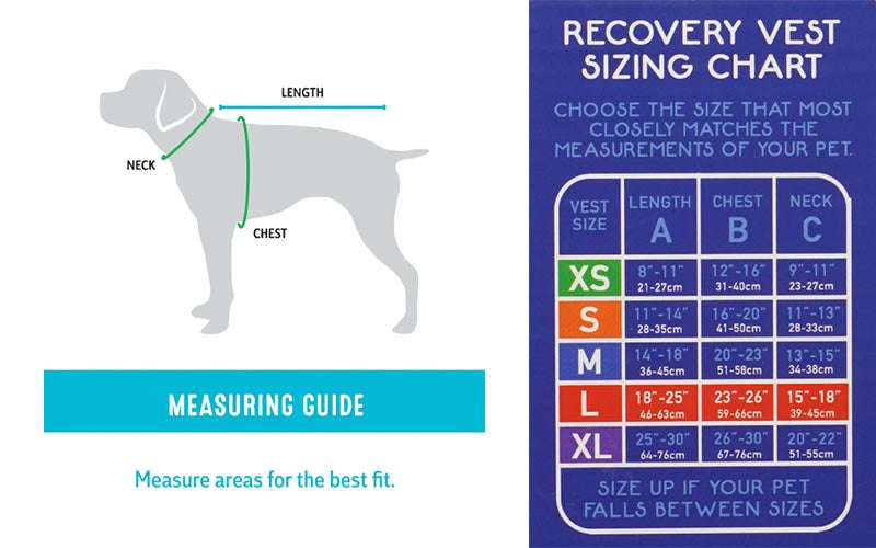 RECOVERY VEST