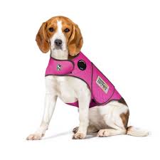 Thunder Shirt
