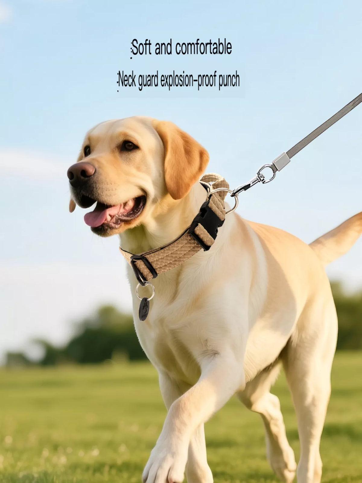 Comfortable Neck Guard Explosion-Proof Pet Collar