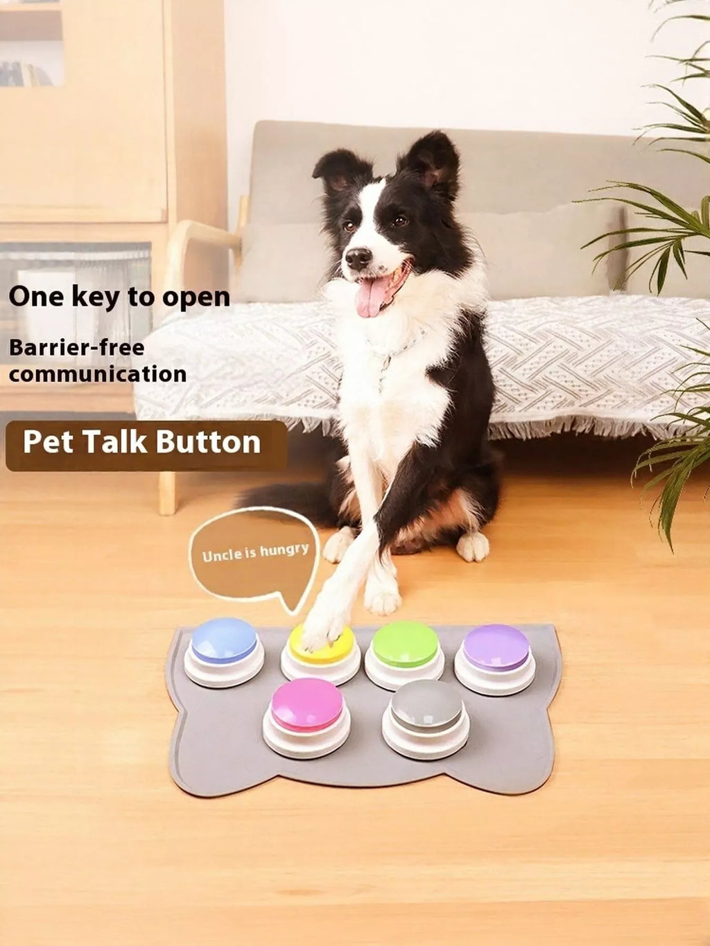 Recordable Talking Pet Sound Buttons