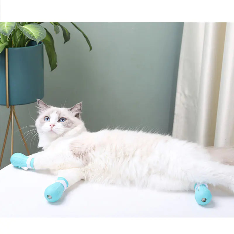 Flexi Cat Claw Caps
