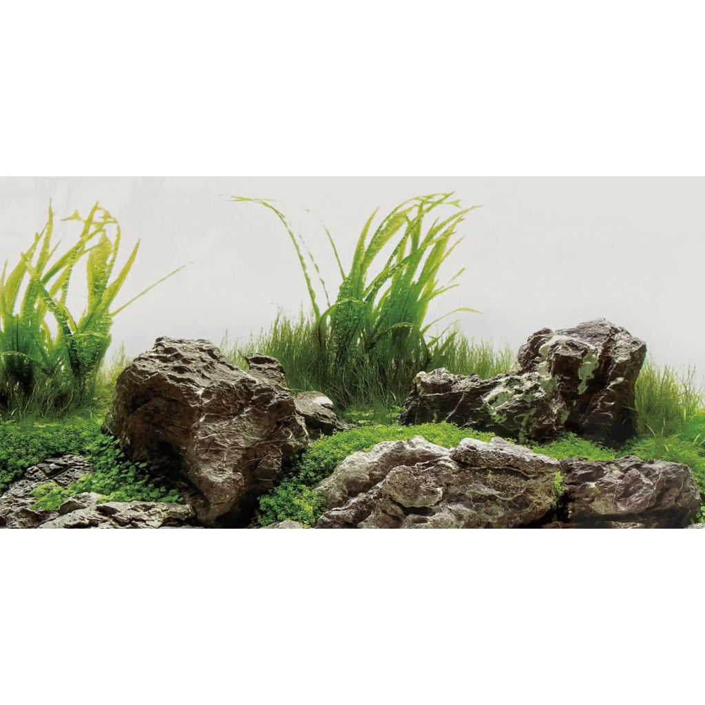 AWERT 60x24 Seaweed & Stone Aquarium Backdrop