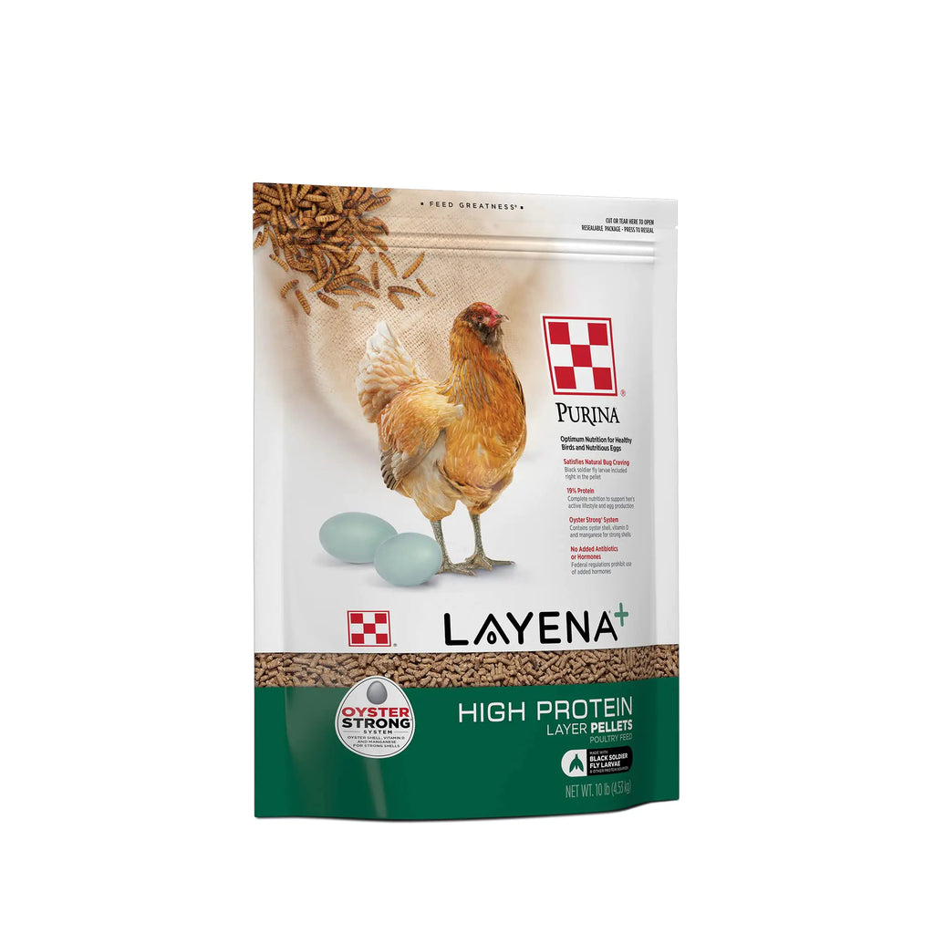 Purina Layena Premium Protein Chicken Feed (10 lbs)