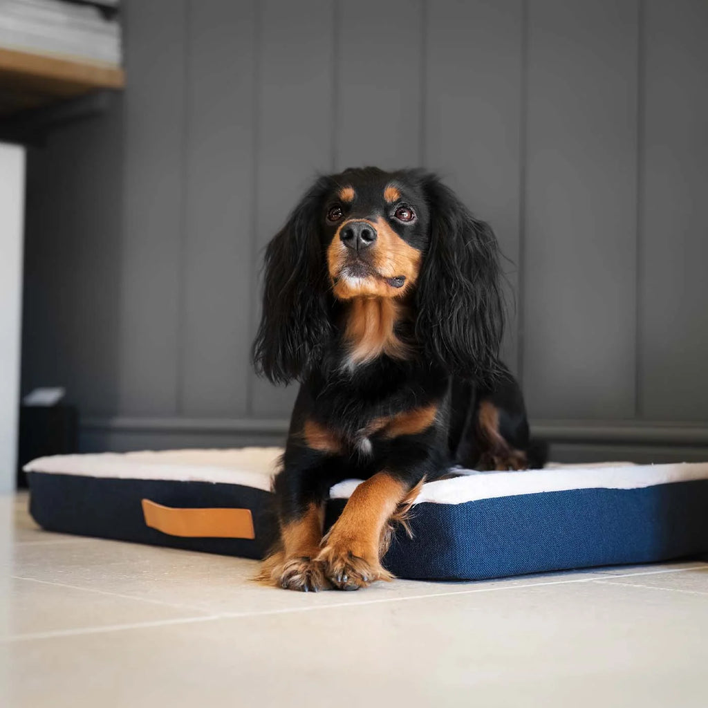 Orthopaedic Mattress in Denim