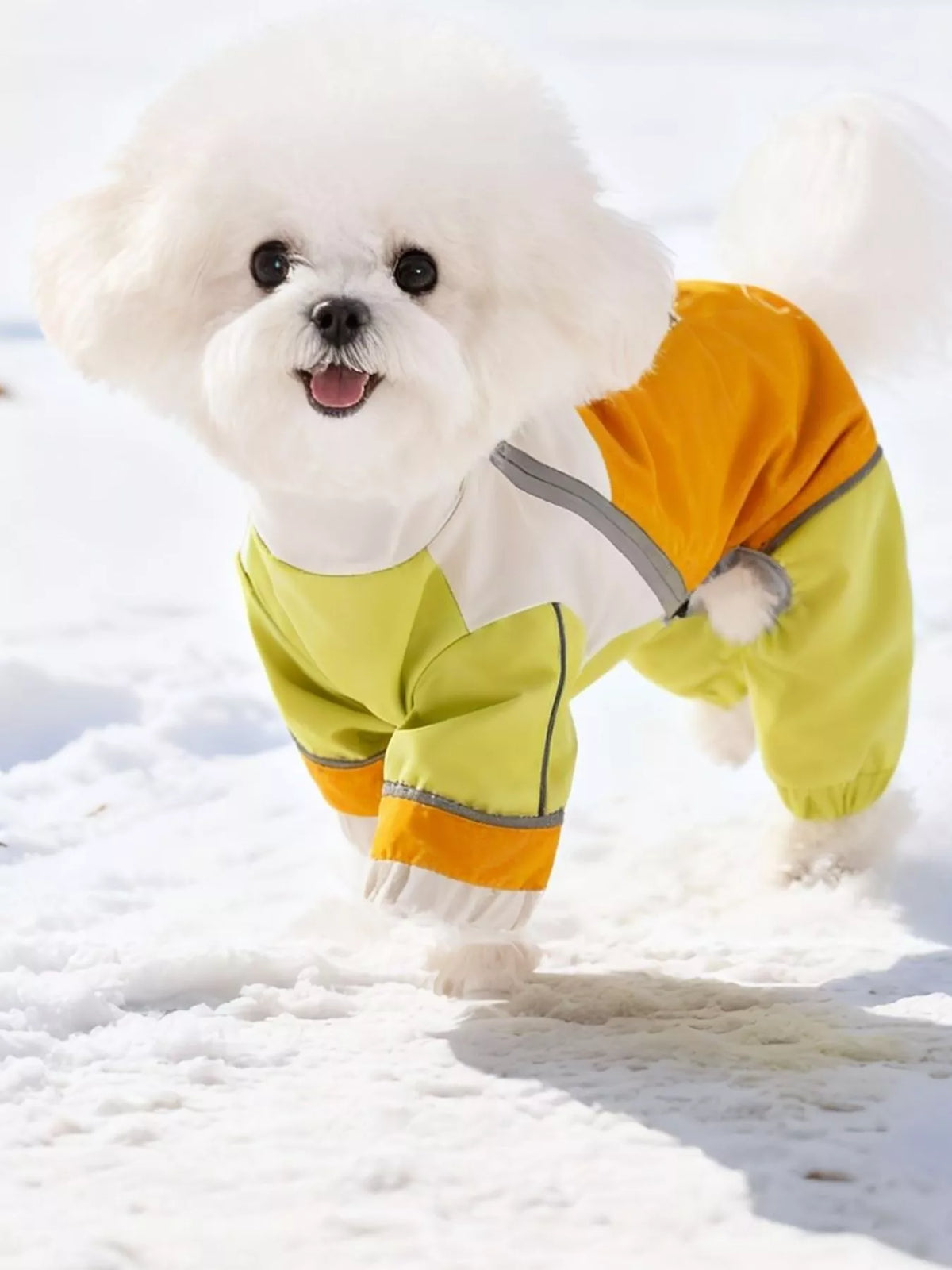 Color Block Warm Pet Jumpsuit