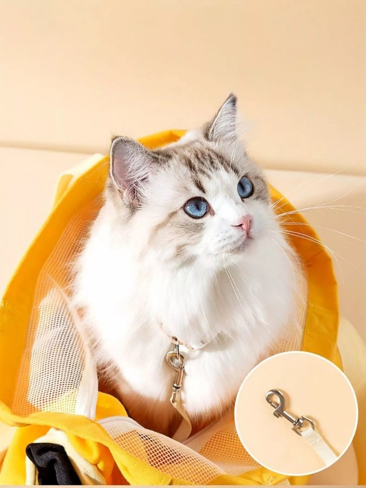 Portable Breathable Pet Bag