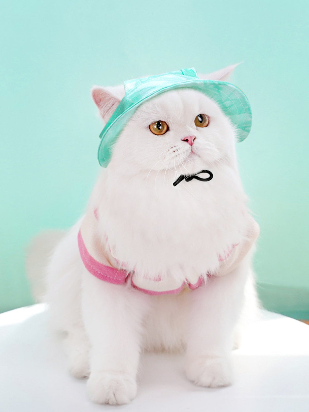 Adjustable Pet Visor Hat