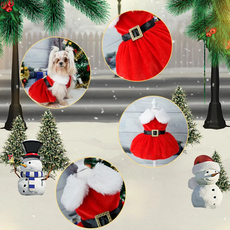Holiday Pet Velvet Ensemble