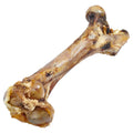 Chomp Champ Mammoth Cow Femur - Natural Dog Treat