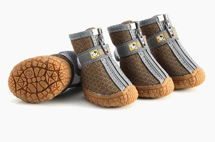 Animal Footwear