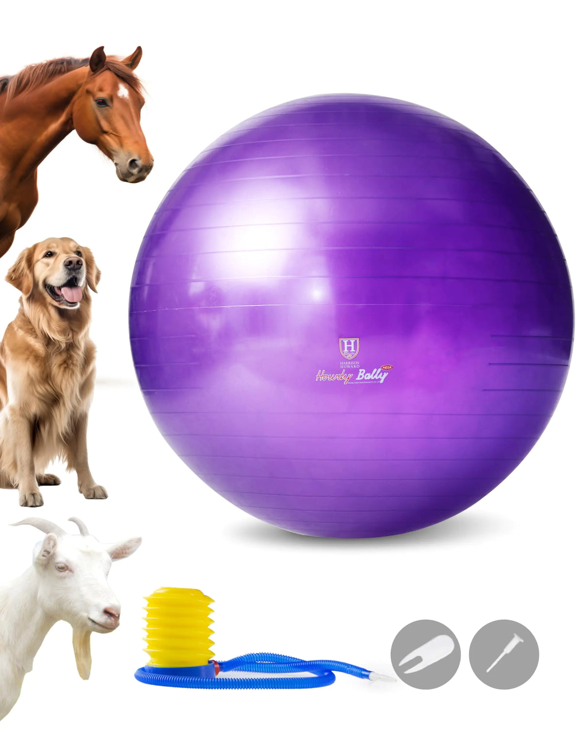 Harrison Howard Mega Equestrian Play Ball 25' - Purple