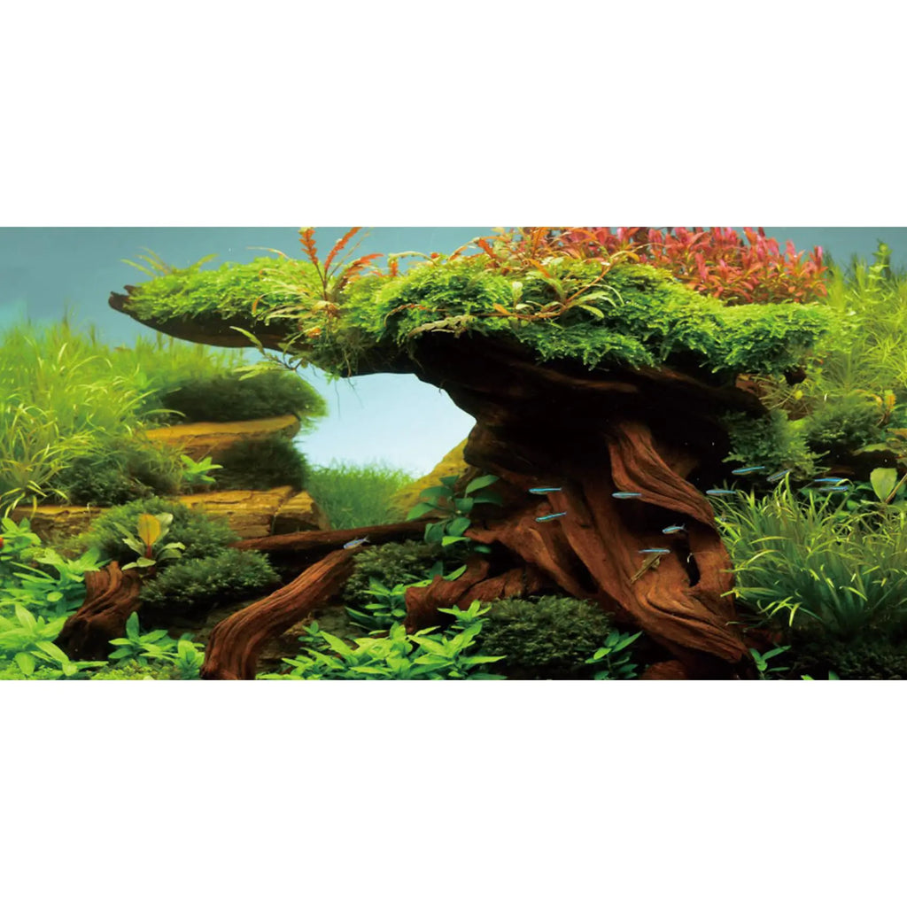 AWERT 60x24 Seaweed & River Vinyl Aquarium Backdrop