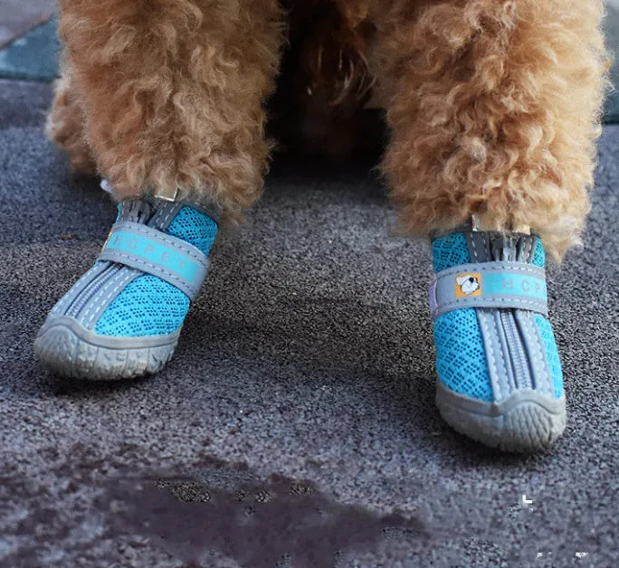 Animal Footwear