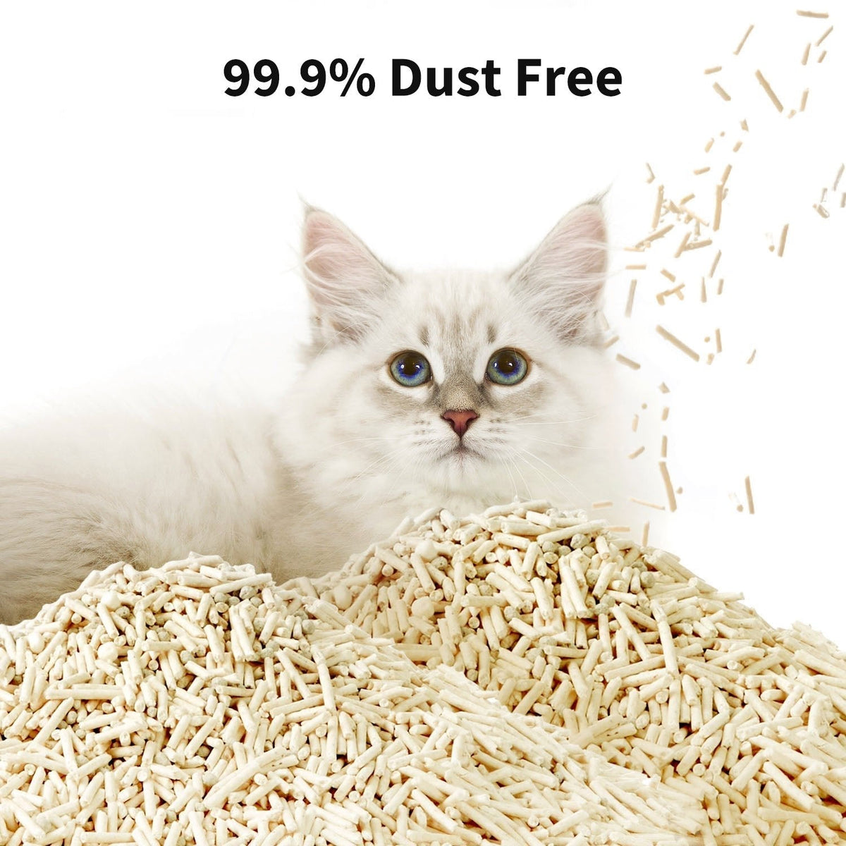 Occult Blood Test Mixed Cat Litter - 2 Bags