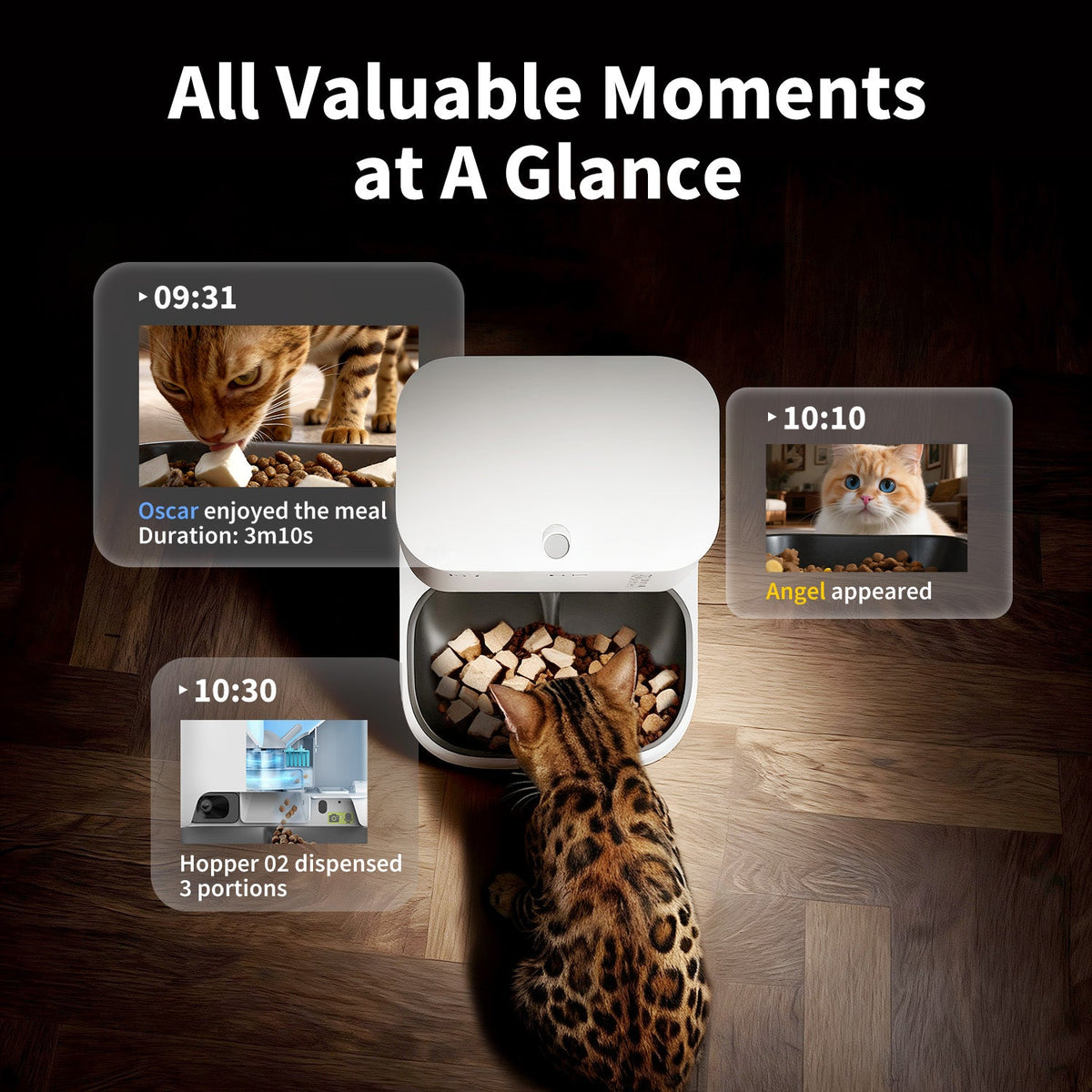 YumShare Dual-hopper 2 Automatic Feeder with Camera