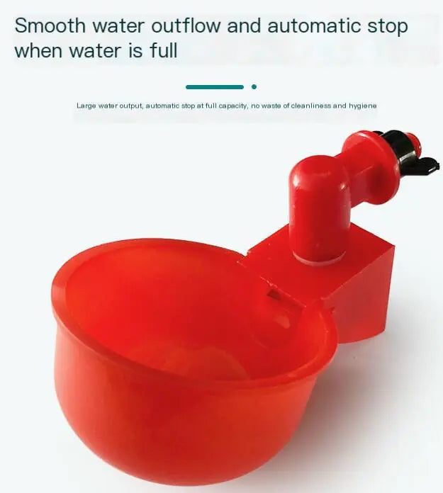 Automatic Poultry Water Bowl and Chicken Drinker