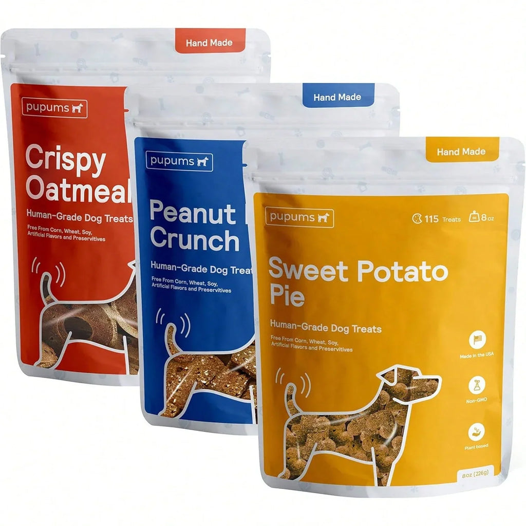 Fruitables Biggies Dog Biscuits – Crispy Apple & Bacon Pumpkin Crunch Treats (16 oz, Wheat-Free)