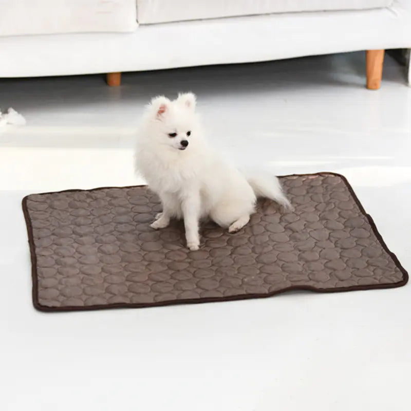 Summer Chill Pet Ice Silk Mat