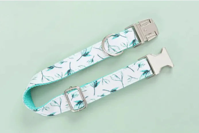 Pet Leash