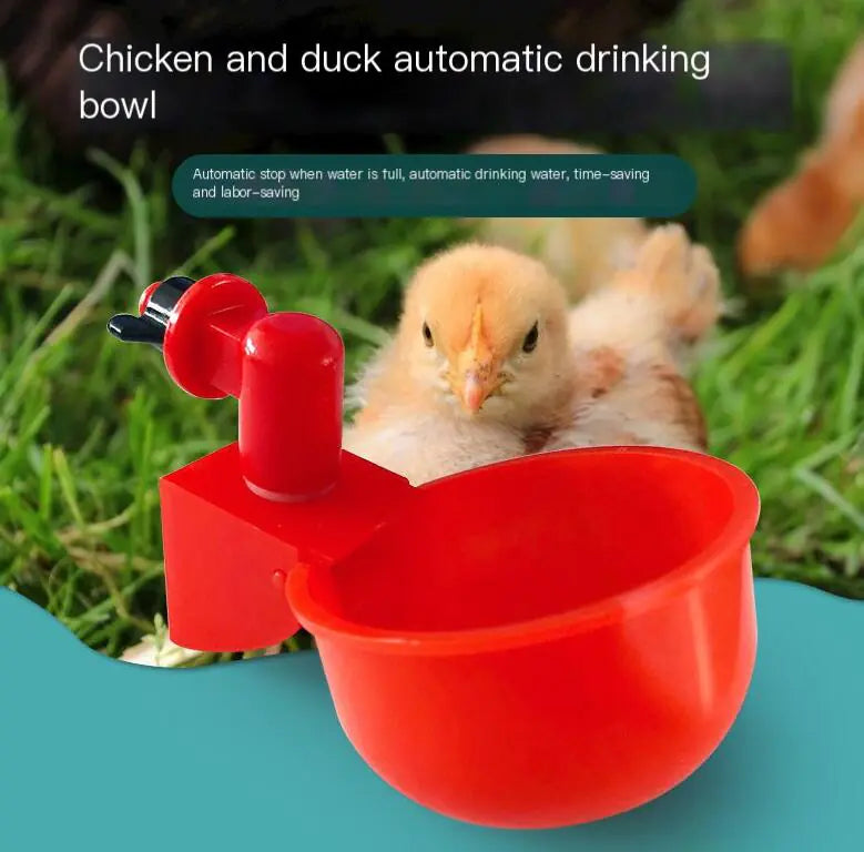 Automatic Poultry Water Bowl and Chicken Drinker